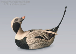 Long-tailed duck Oldsquaw bird wood sculpture by Philip Nelson