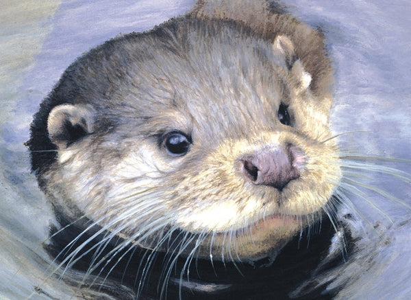 Quick Dip otter wildlife art print detail animal art artist Jacqueline Gaylard