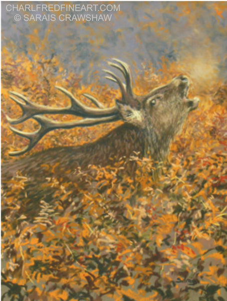 The Challenge Red Deer Stag animal art pastel painting by Sarais Crawshaw