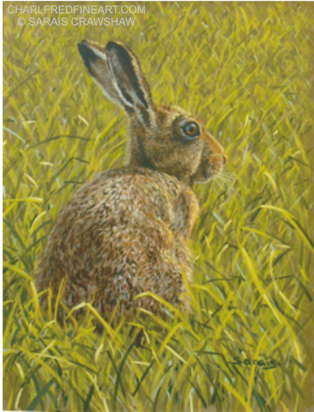 Watchful brown hare animal art painting by Sarais Crawshaw