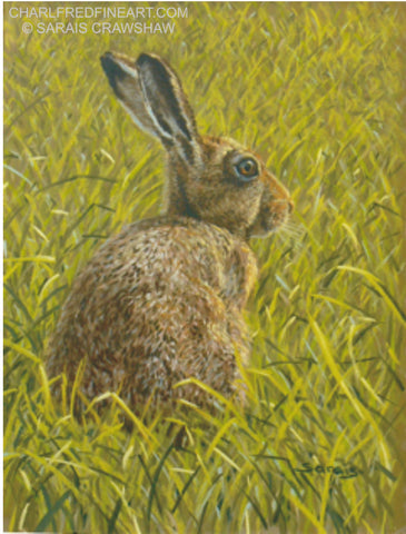 Watchful brown hare animal art painting by Sarais Crawshaw