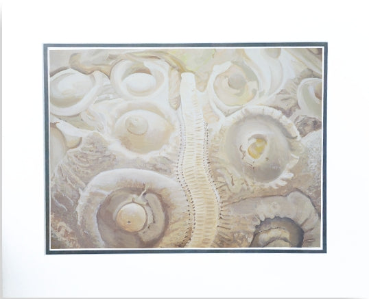 Sea urchin fossil wall art acrylic mounted nautical art painting artist carole gaylard.