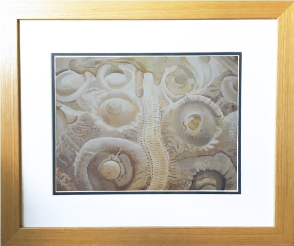 Sea urchin fossil wall art acrylic nautical art framed painting artist carole gaylard.
