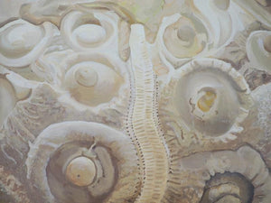 Sea urchin fossil wall art acrylic nautical art painting artist carole gaylard.