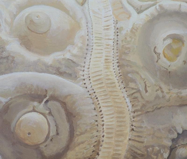 Sea urchin fossil wall art acrylic nautical art painting detail artist carole gaylard.