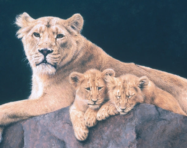 Watchful Asiatic Lioness with cubs wildlife art print detail animal art cat artist J. Gaylard