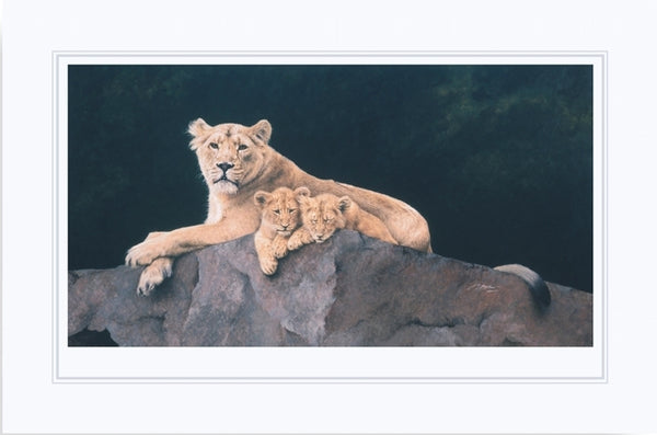 Watchful Asiatic Lioness with cubs wildlife art print mounted animal art cat artist J. Gaylard