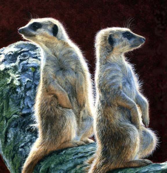 Who Goes There? Meerkats acrylic animal art painting detail wildlife artist Jacqueline Gaylard.