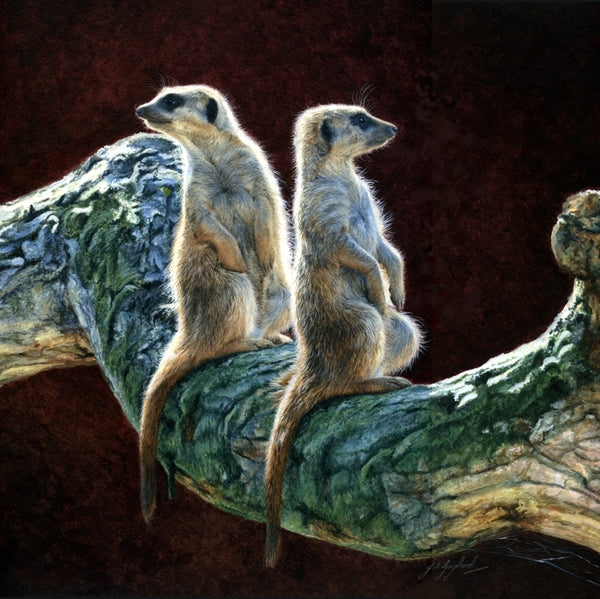Who Goes There? Meerkats acrylic animal art painting wildlife artist Jacqueline Gaylard.