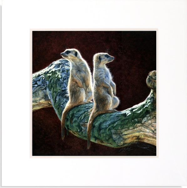 Who Goes There? Meerkats acrylic mounted animal art painting wildlife artist Jacqueline Gaylard.