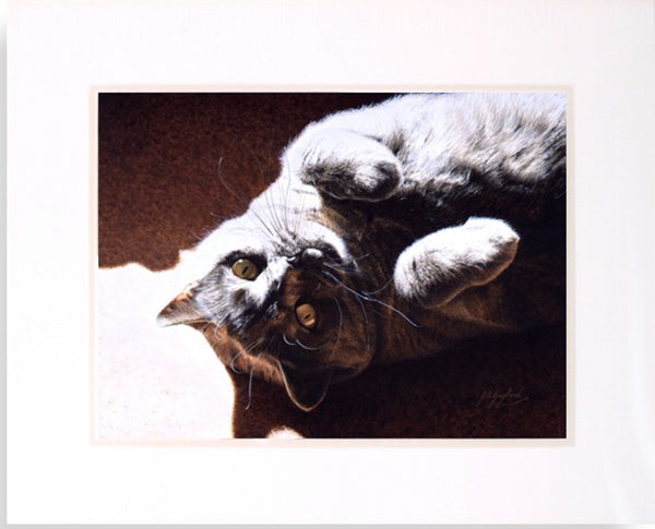 A Ray Of Sunshine British Shorthair Blue cat art painting J. Gaylard.
