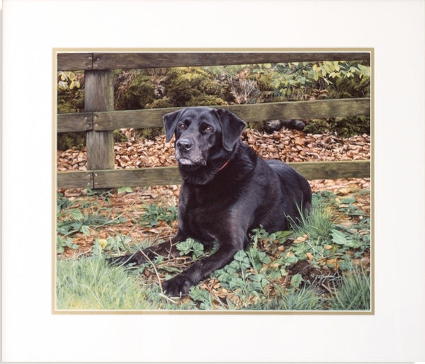 Autumn Days Black Labrador dog animal art painting by Jacqueline Gaylard.