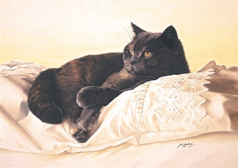Bright Eyes british shorthair blue cream cat art print by Jacqueline Gaylard