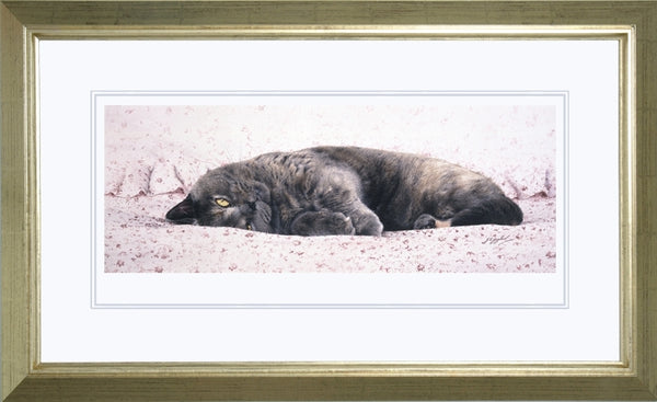 Chintz British Shorthair Blue Cream grey cat art print, framed, J. Gaylard.