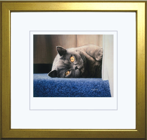 Cyan On The Stair British Shorthair Blue grey cat art print, framed, Jacqueline Gaylard.