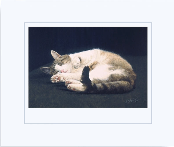 Dreaming tabby cat art print, animal art by Jacqueline Gaylard.