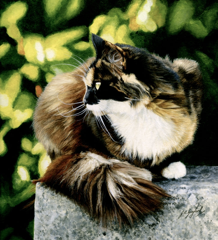 In The Secret Garden tabby cat art painting, artist Jacqueline Gaylard.