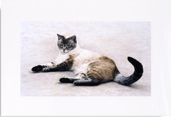 Interlude siamese-persian cat art mounted painting, artist Jacqueline Gaylard.