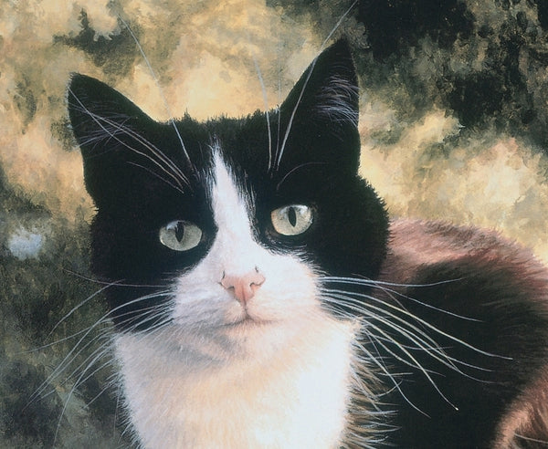 Jess black and white tuxedo cat art print detail, Jacqueline Gaylard.