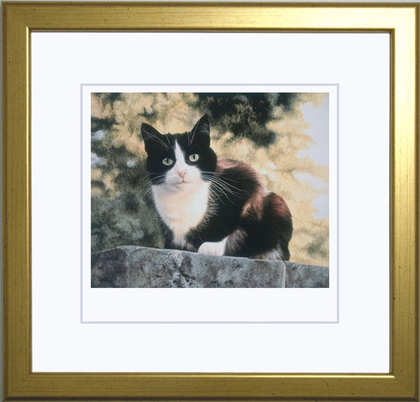 Jess black and white tuxedo cat art print, framed, artist Jacqueline Gaylard.