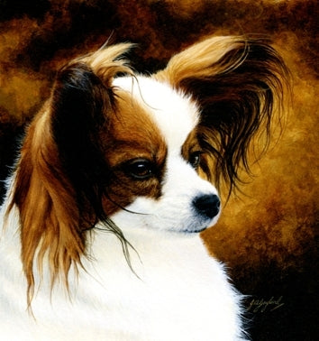 Lady Papillon toy spaniel dog animal art painting, artist Jacqueline Gaylard.