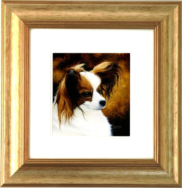 Lady Papillon toy spaniel dog, framed animal art, artist Jacqueline Gaylard.