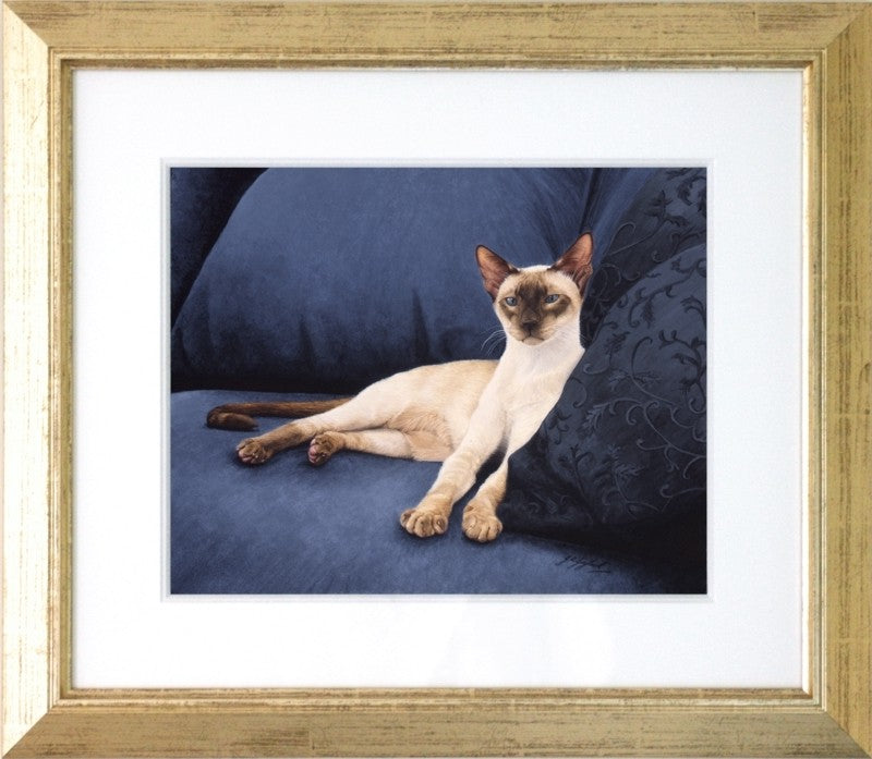 Sapphire Siamese blue eyes cat framed painting, aninal artist Jacqueline Gaylard.