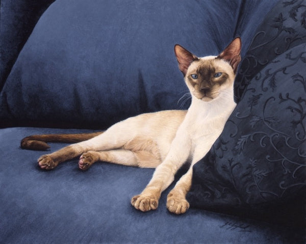 Sapphire Siamese Cat animal art painting, artist Jacqueline Gaylard.