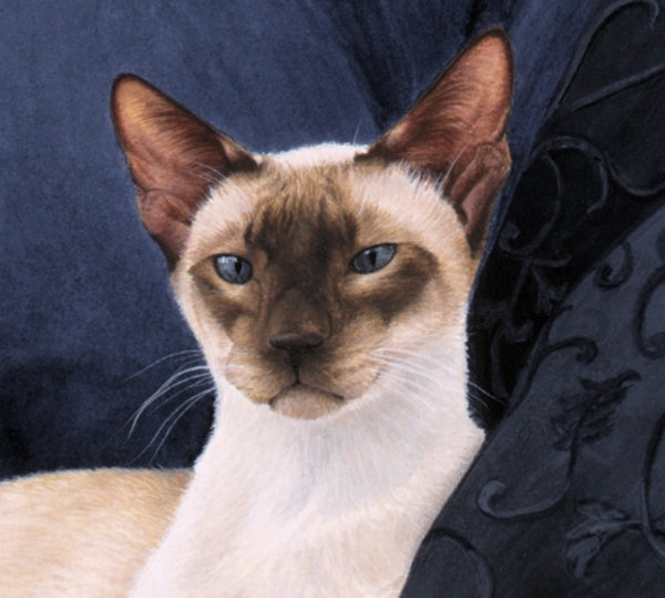 Sapphire Siamese Oriental Cat  Art painting, artist Jacqueline Gaylard.