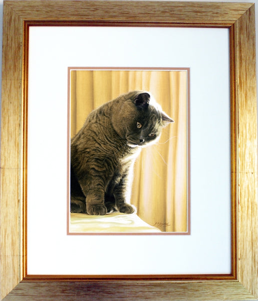 Shine Bright British Shorthair blue cream cat art framed painting, artist Jacqueline Gaylard.