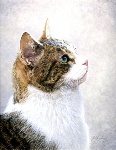Sweet Angelica tabby cat art painting by Jacqueline A. Gaylard S.O.F.A.