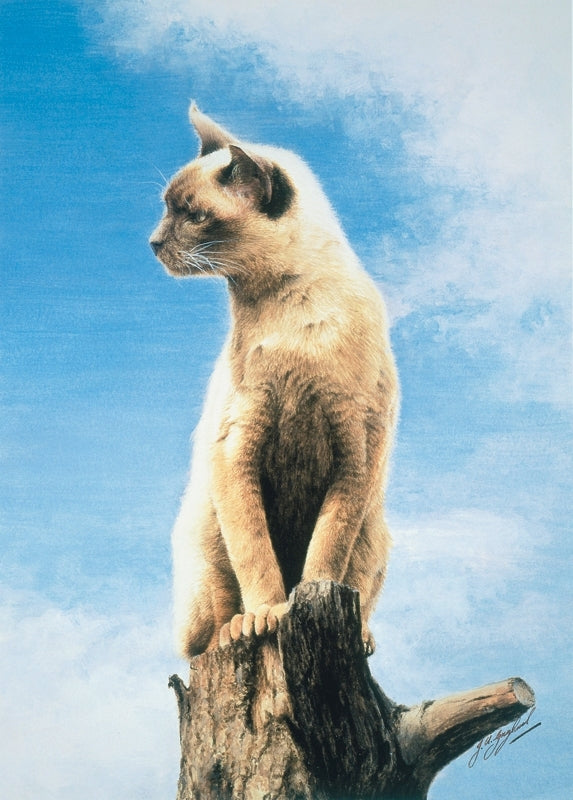 The Look-Out Post Burmese cat art print by Jacqueline Gaylard