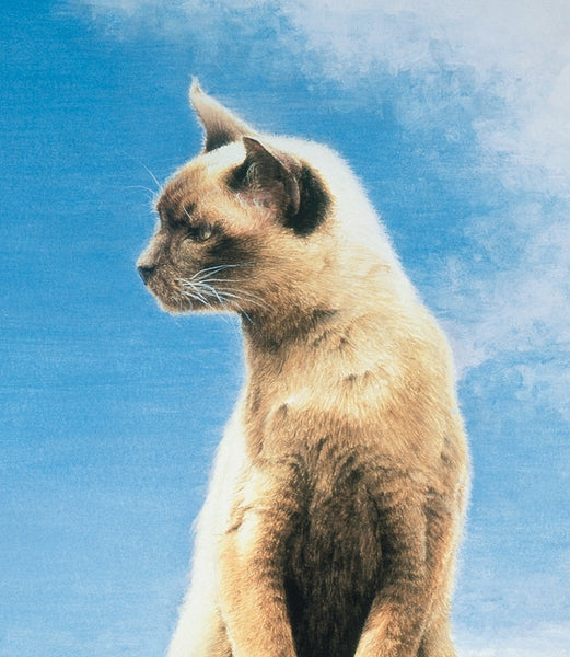 The Look-Out Post Burmese cat art print detail, animal artist Jacqueline Gaylard