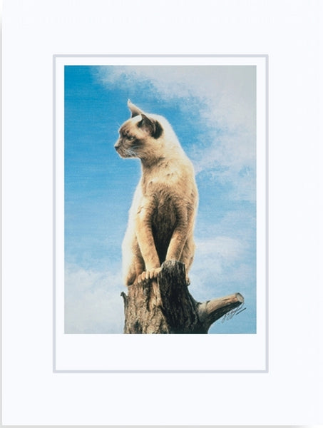 The Look-Out Post Burmese cat art print mounted, animal art by J. Gaylard.