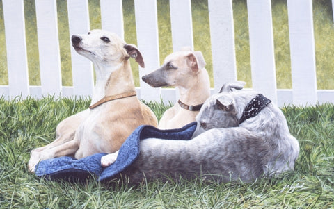Three Whippets dog animal art painting, artist Jacqueline Gaylard.