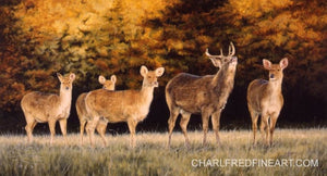 Young Buck Barasingha Deer, original Acrylic painting, by wildlife artist Jacqueline A. Gaylard.